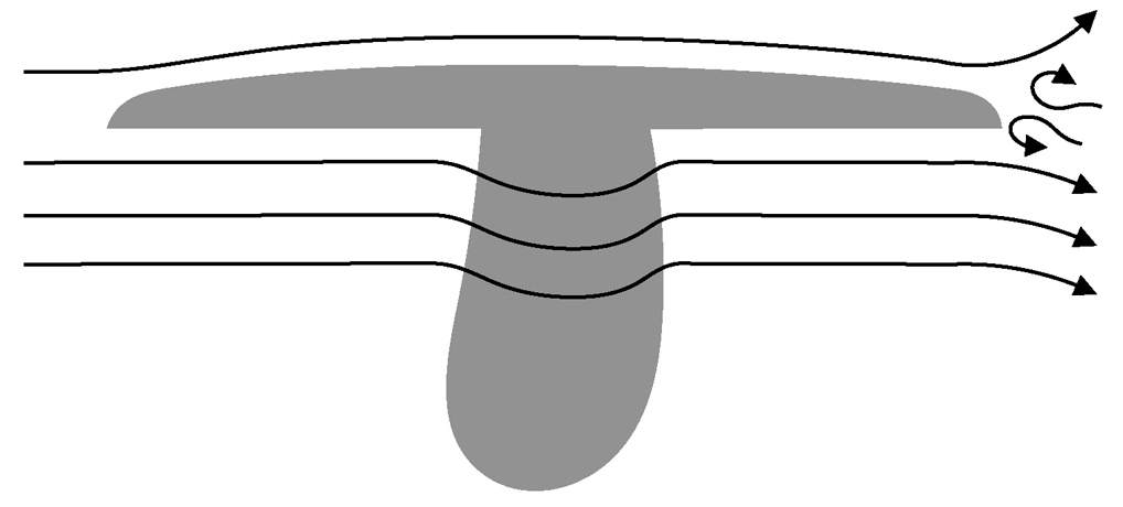 (流体力学的)きのこの第4仮説 (流体力学的)きのこの第4仮説