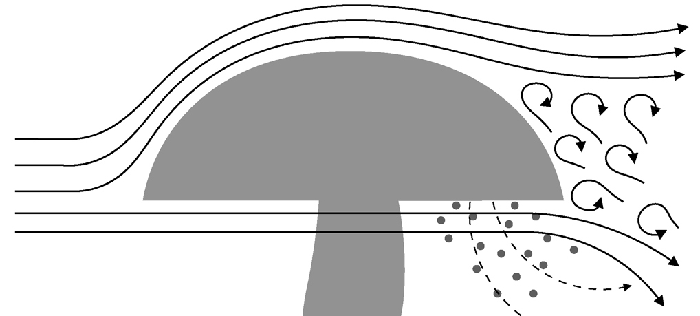 (流体力学的)きのこの第2仮説 (流体力学的)きのこの第2仮説