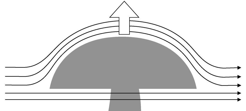 (流体力学的)きのこの仮説 (流体力学的)きのこの仮説