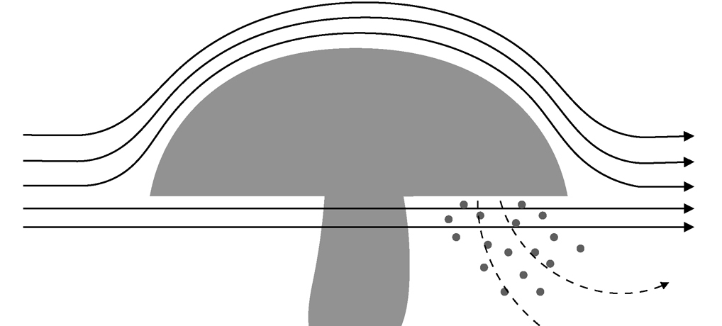 (流体力学的)きのこの第1仮説 (流体力学的)きのこの第1仮説